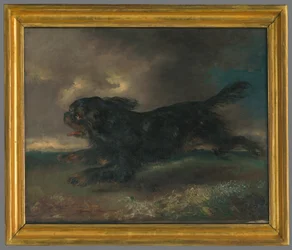 Perro corriendo
